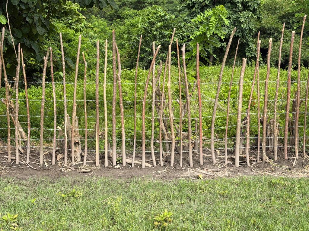 First Update from the&nbsp;Field